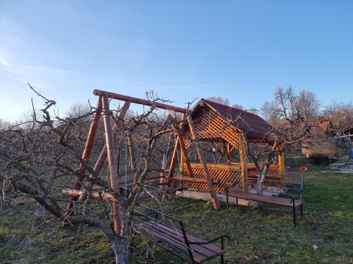 Pensiunea Paradis Borobanesti Екстер'єр фото