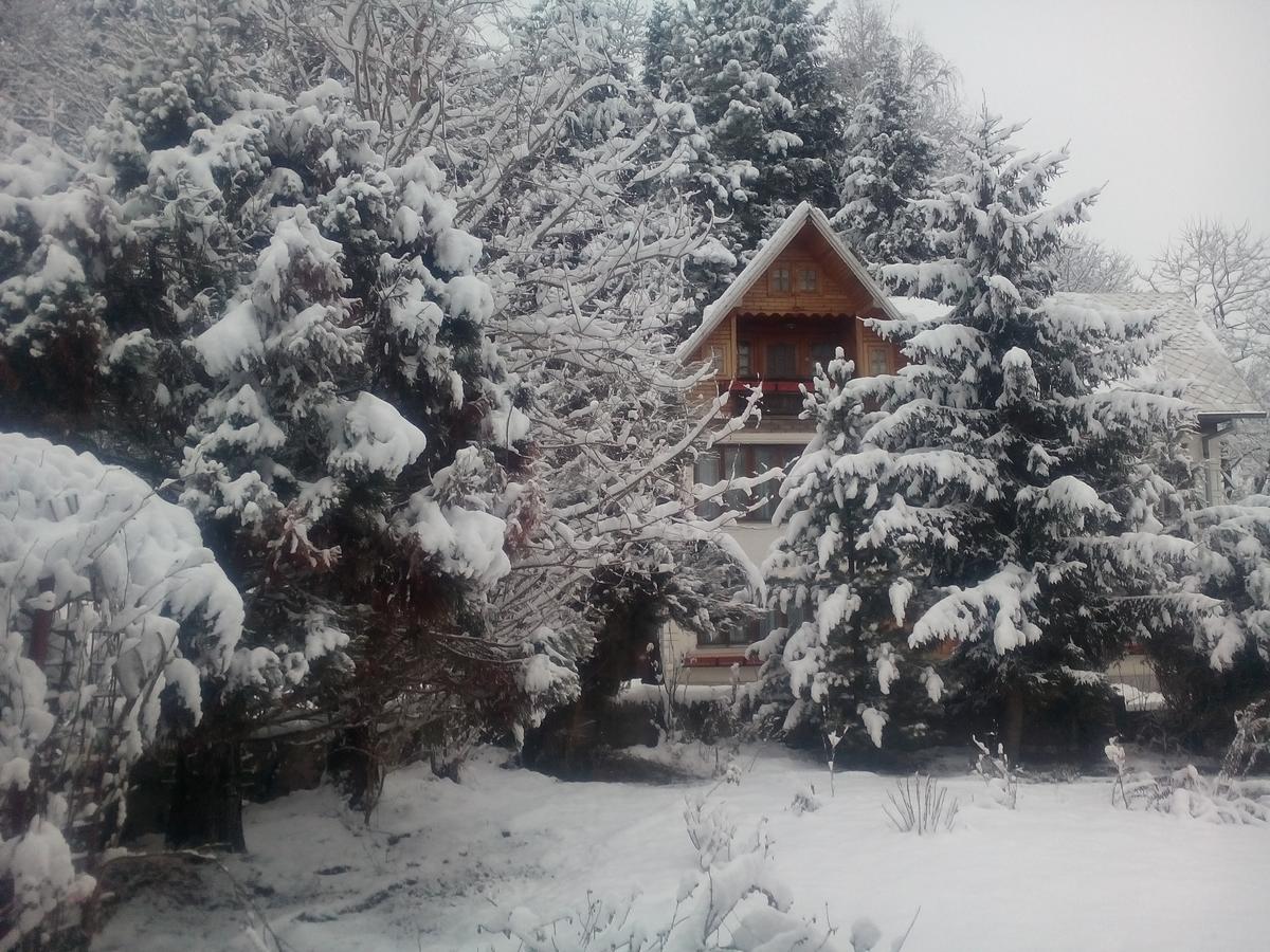 Pensiunea Paradis Borobanesti Екстер'єр фото